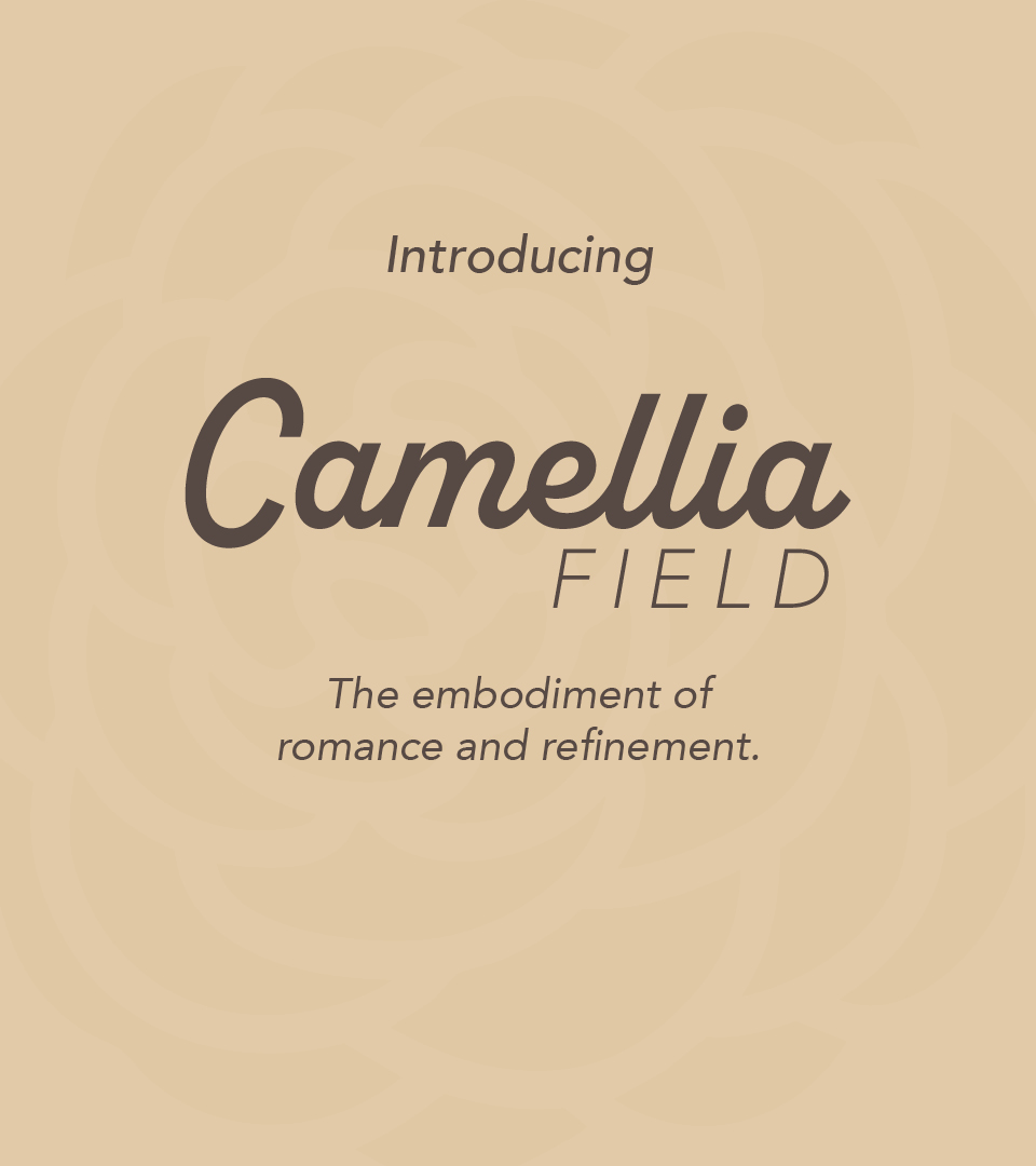 Camellia Field